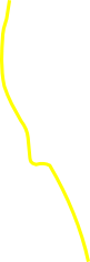 wp25ef486b.png