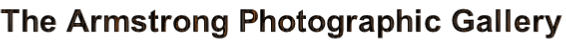 wp367ad129.png