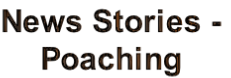 wpab5a4dc8.png