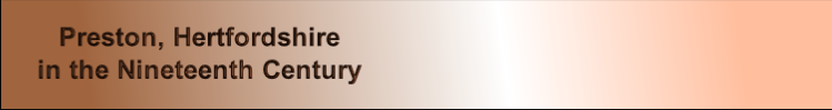 wpfad81091.png